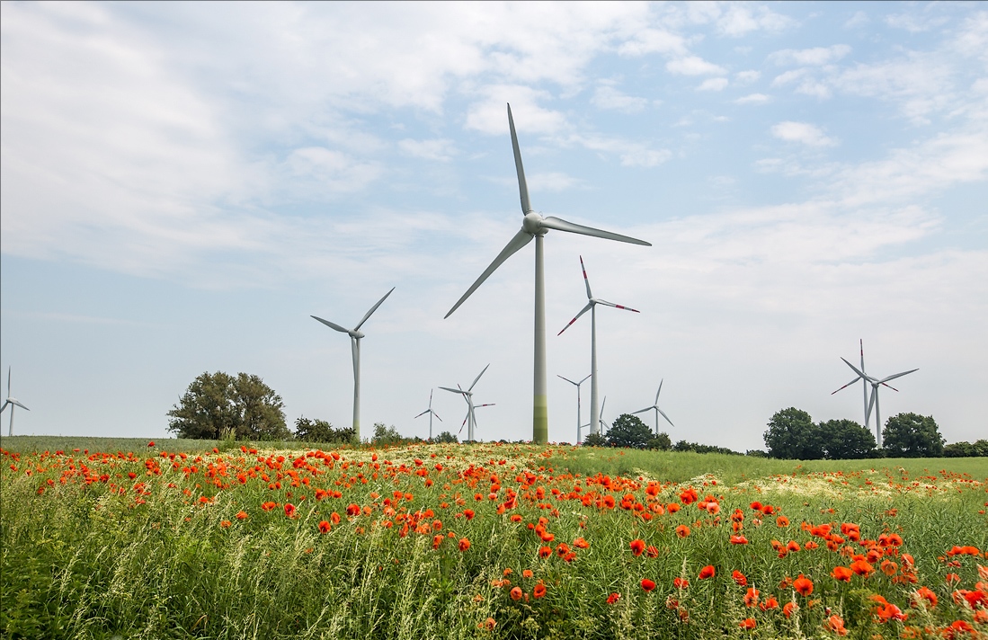 Германия намерена к 2030г получать 80% электроэнергии от ветра