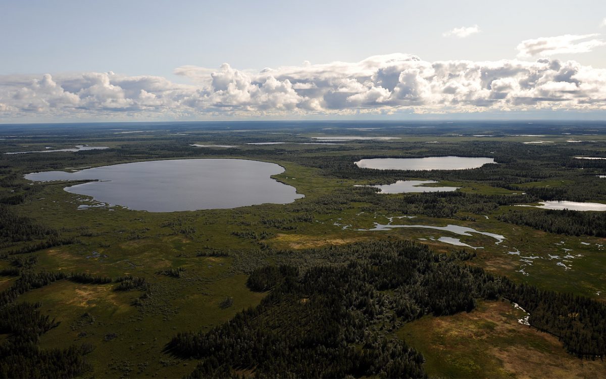 "Новатэк" открыл новое месторождение газа на полуострове Гыдан в Арктике