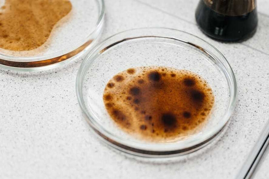 Ученые обнаружили бактерии, которые могут поглощать нефть в холодных водах