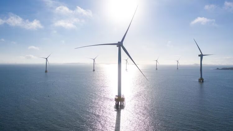 BP впервые попробует построить ветряную электростанцию без субсидий