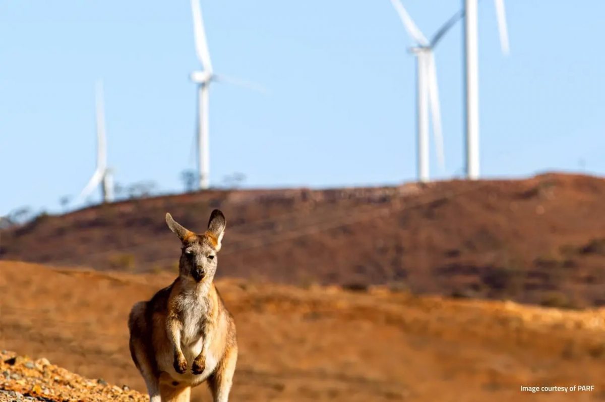 Rystad назвал рынок электроэнергии Австралии самым нестабильным в мире