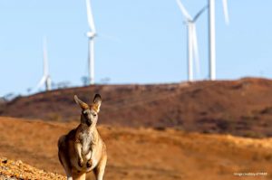 Австралия перевела более трети своей энергетики на солнце и ветер