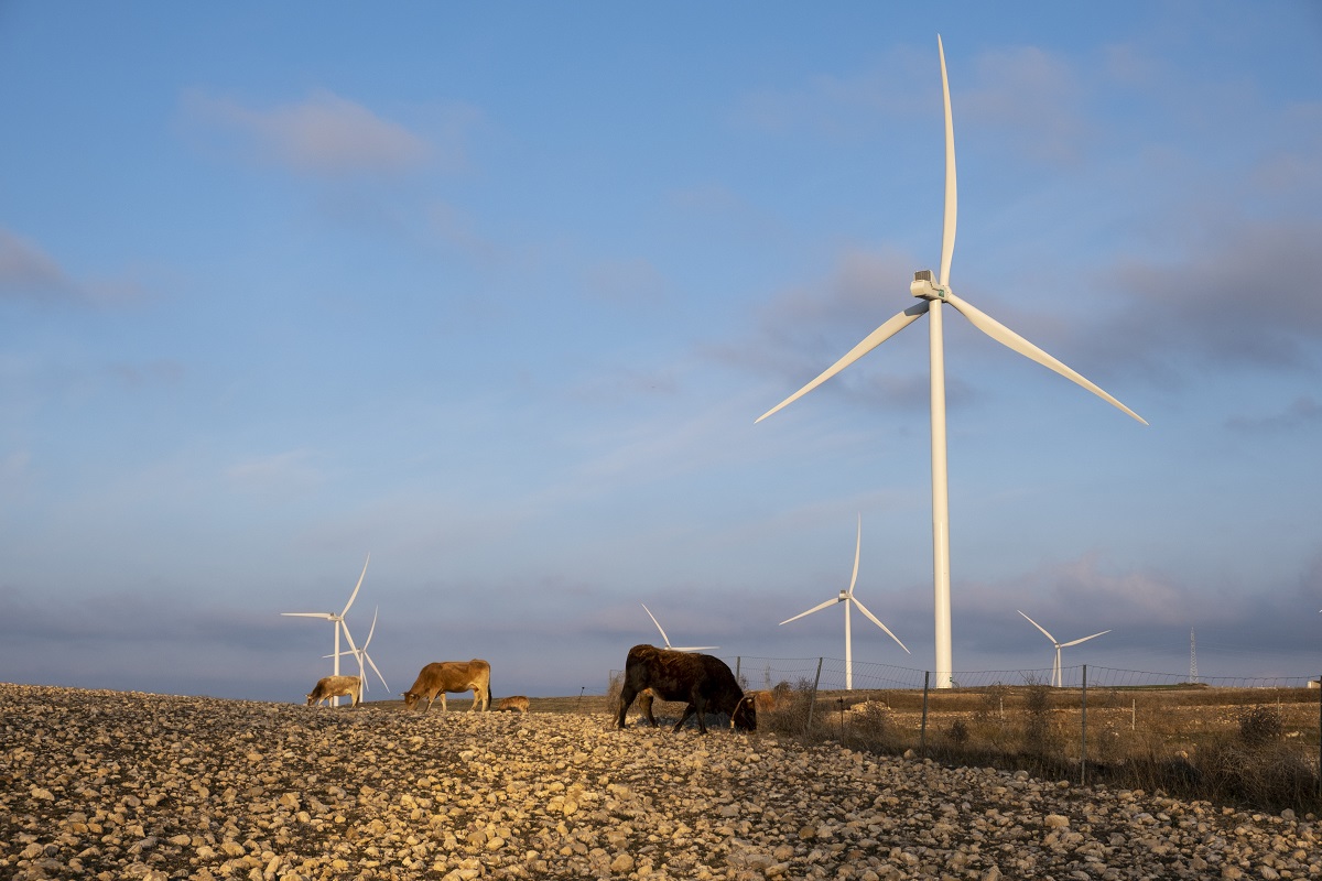 Enel пересмотрела свой подход к возобновляемым источникам энергии