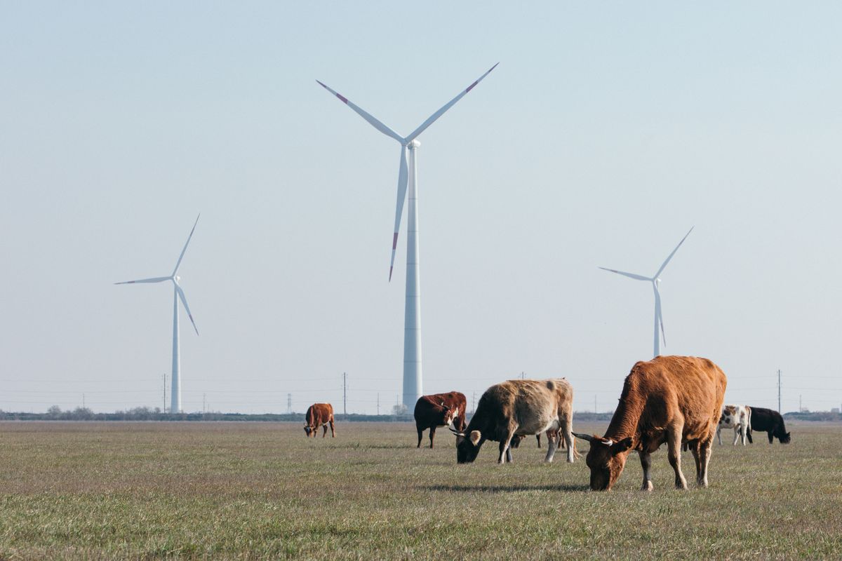 Росатом приостановил новые проекты в сфере ветроэнергетики