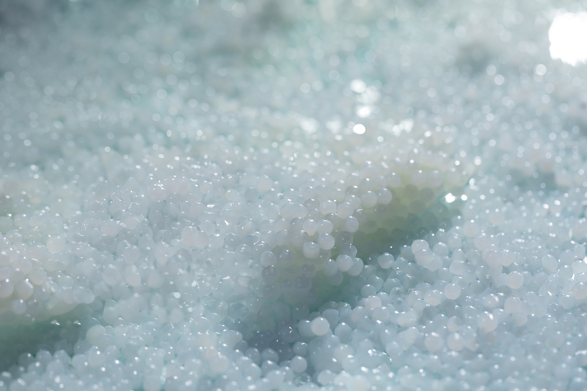 Эксперт Argus прогнозирует рост мировых полиэтиленовых мощностей на 27% к 2034 году