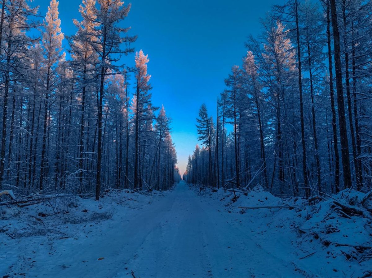 «Геотек» завершил геологоразведку на Линденской площади в Якутии