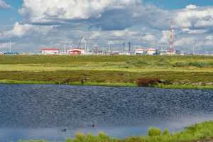«Лукойл» вернул в разработку арктическую нефть спустя десятилетия